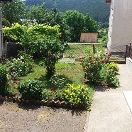 Apartment Hinic Vrhovine Kültér fotó